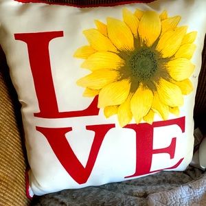 2 indoor/outdoor decorative pillows